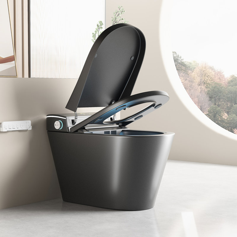 One Piece Toilet With Built - In Bidet, Auto Seat Lid, Dryer, Warm Air, Night , Grey Multiple Flushing Options Intelligent Hands Operation, Flush, Temperature Adjustment, Siphonic Jet