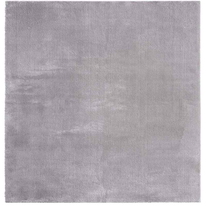 Closter Synthetic 80cm X 150cm Area Rug