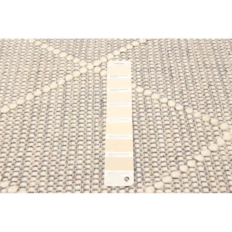 Arshiya Performance Hand Braided Wool Rug