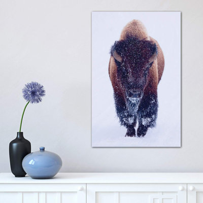 «Bison In Snow» - reproduction
