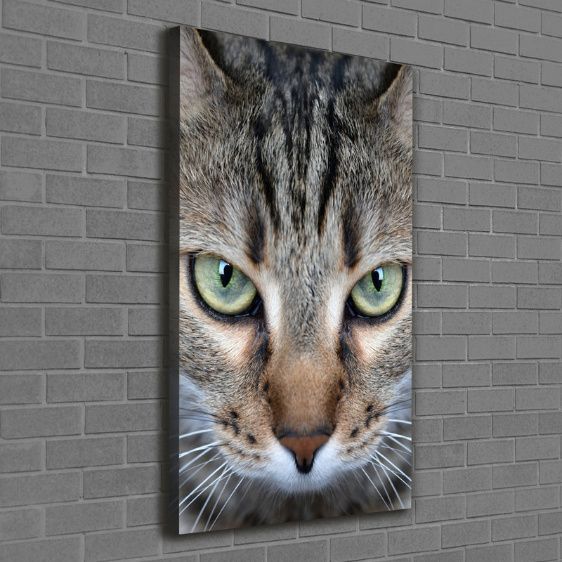 Cat's Eyes - Wrapped Canvas Print, 120cm H x 60cm W