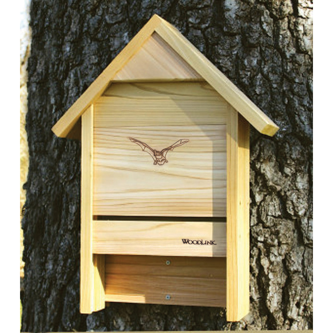 22'' H x 15'' W x 3.5'' D Wall Woodlink