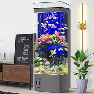 20-30 Gallon Acrylic Glass Modern Eco Aquarium Tank