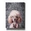 'Substitude' by Svetlana Aleynikova Canvas Wall Art-1167610232