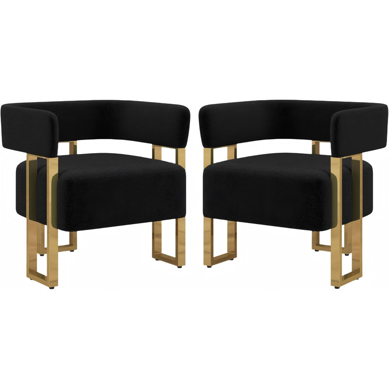 Accent Armchair With Metal Frame(Set Of 2), Black Teddy