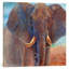 The Days Catch by Jan Panico - Painting on Canvas-50019497-56803765