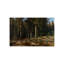 Ship Grove - Ivan Shishkin (1898) | Impression sur papier beaux-arts-974406960-974406965
