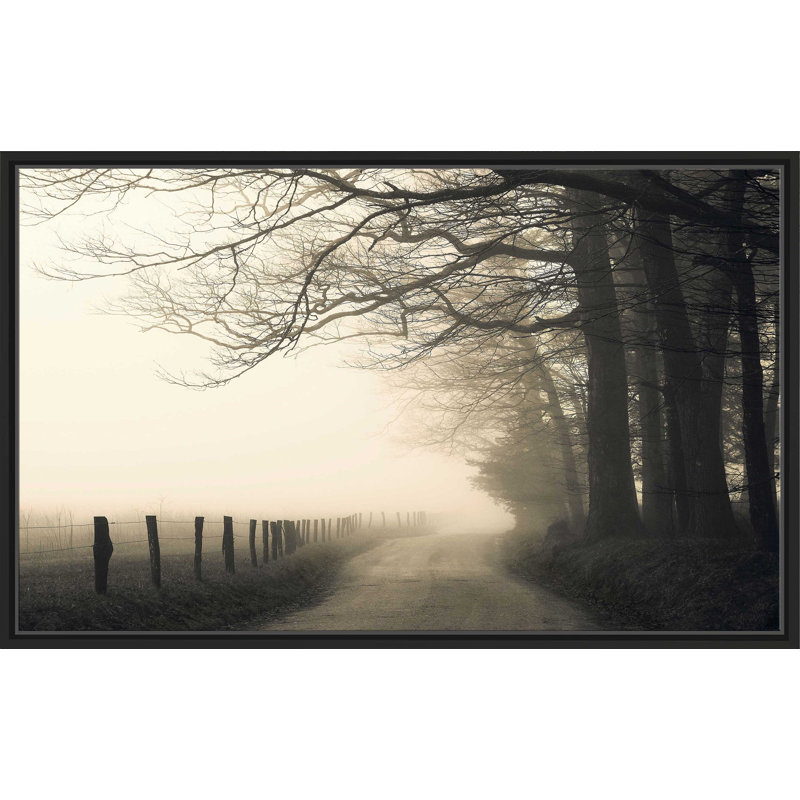 Hyatt Lane par Nicholas Bell - photographie, Cadre flottant noir, H 31,5 po x l 51,5 po x P 2 po