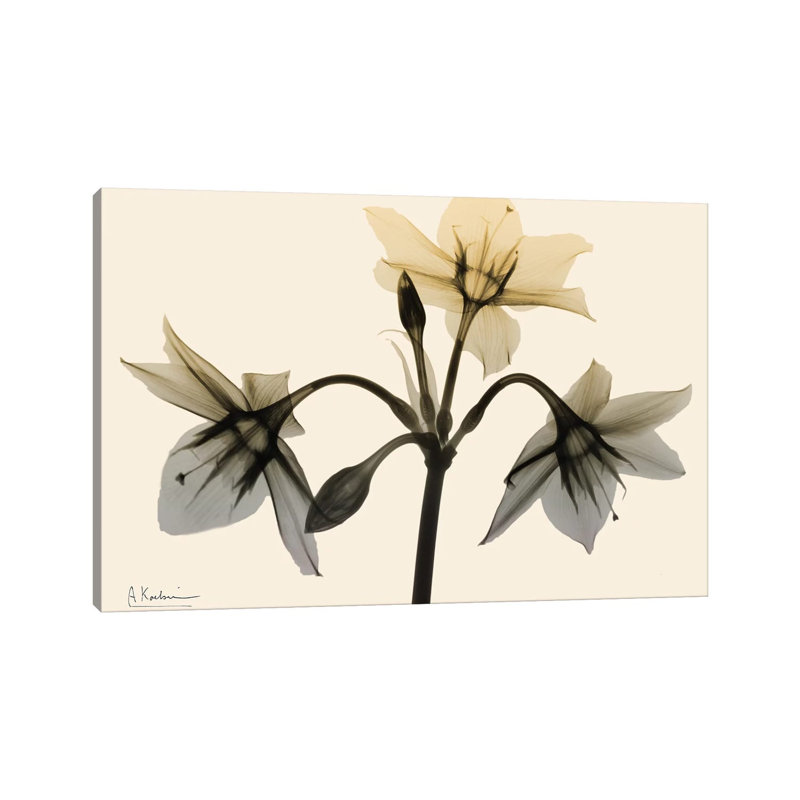 Neutral Trio I by Albert Koetsier - Wrapped Canvas Print, 20.32 cm H x 30.48 cm W
