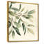 Douce eucalyptus olive branche IV - verdure, art mural-1357860283-1357860302