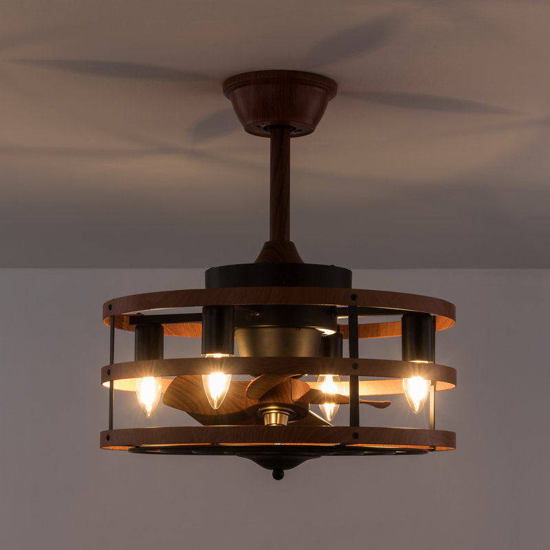 Ventilateur de plafond intérieur en cage de 18 pouces à 5 pales avec ensemble d'éclairage et télécommande