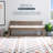 Donner Cane Back Cushioned Bench-1569490981