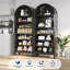 180.3cm H x 74.9cm W Standard Bookcase-1192790453