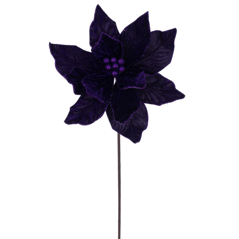 Tiges de poinsettias de Cleorand, Prune