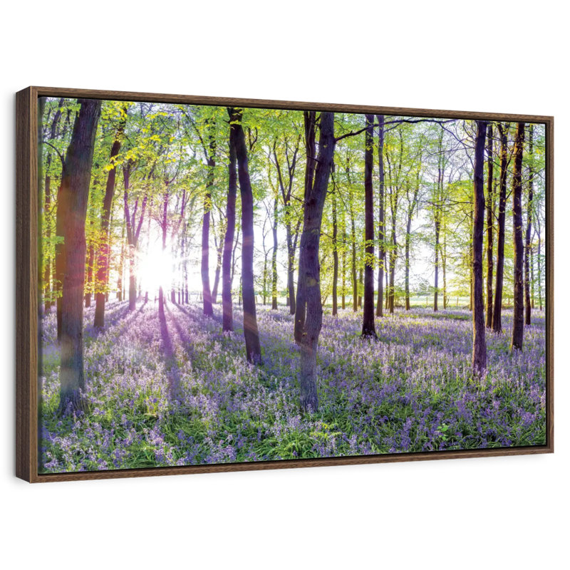 Bluebells and sunrise, 46 po x 31 po, Cadre flottant noyer