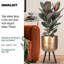 Metallic Concrete Effect Cylinder Round Planter on Hardwood Legs, Round Indoor Plant Pot Stand for Indoor Plants, Indoor Flower Pot-1091484470-1091484466