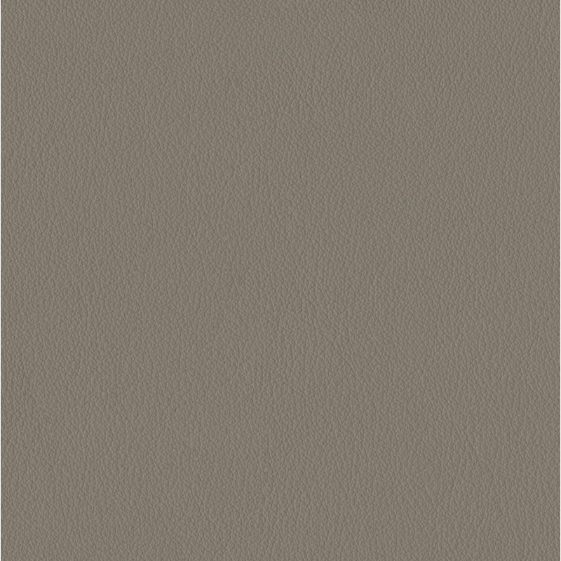 Elan Flannel Sample