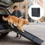 Rampe pour chien de 19,3 po de largeur, rampe en aluminium léger pour petits, moyens et grands chiens, surface antidérapante, pente douce longue longueur, corde incluse, tapis portatif et pliable de 71 po facile à transporter,-1398332127