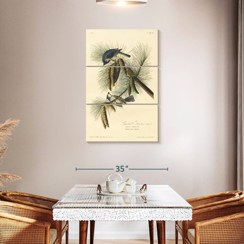 Brampt Crested Titmouse, 23" H x 14" W