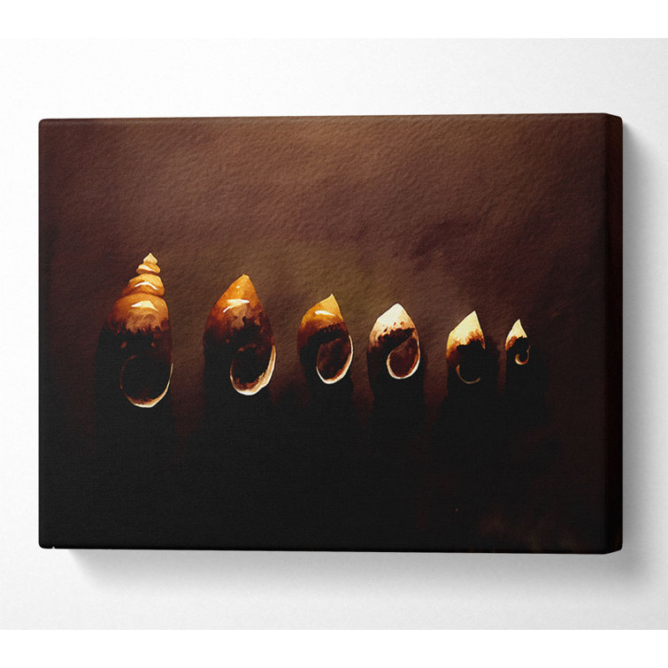 Snail Shells - Wrapped Canvas Art Prints