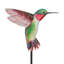 Ensemble de 2 plantes à colibri