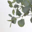 Arbre d'eucalyptus de 6 pi en pot noir, plantes d'eucalyptus artificiels pour la maison et le bureau -1885984