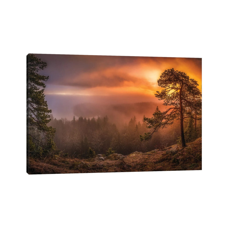Freshness Of Autumn by Lauri Lohi - Wrapped Canvas Print, 66.04 cm H x 45.72 cm W x 3.175 cm D