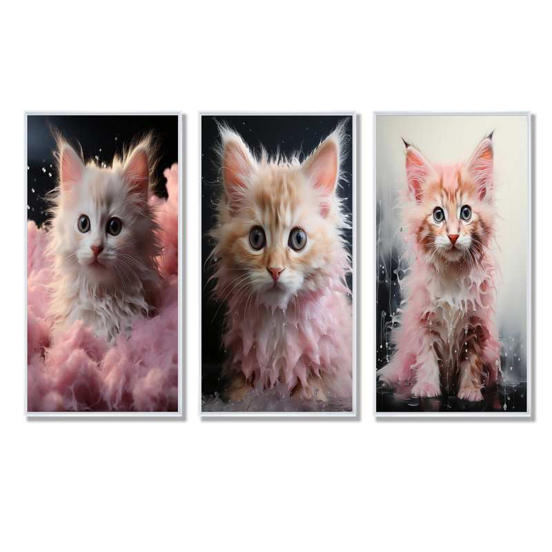 Bain pour chaton, Cadre flottant blanc, H 28 po x l 36 po