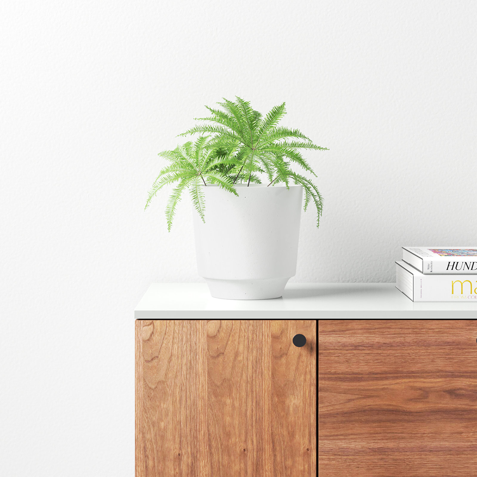 Dell 9" Pot Planter