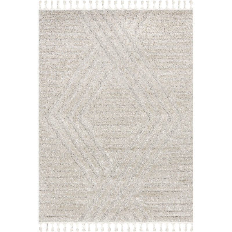  Risette Geometric Shag Tassel Area Rug, Rectangle 3' x 5' 