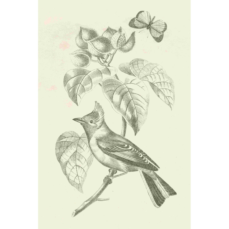 Photographie d'un oiseau français par Wild Apple, H 18 po x l 12 po, Toile tendue