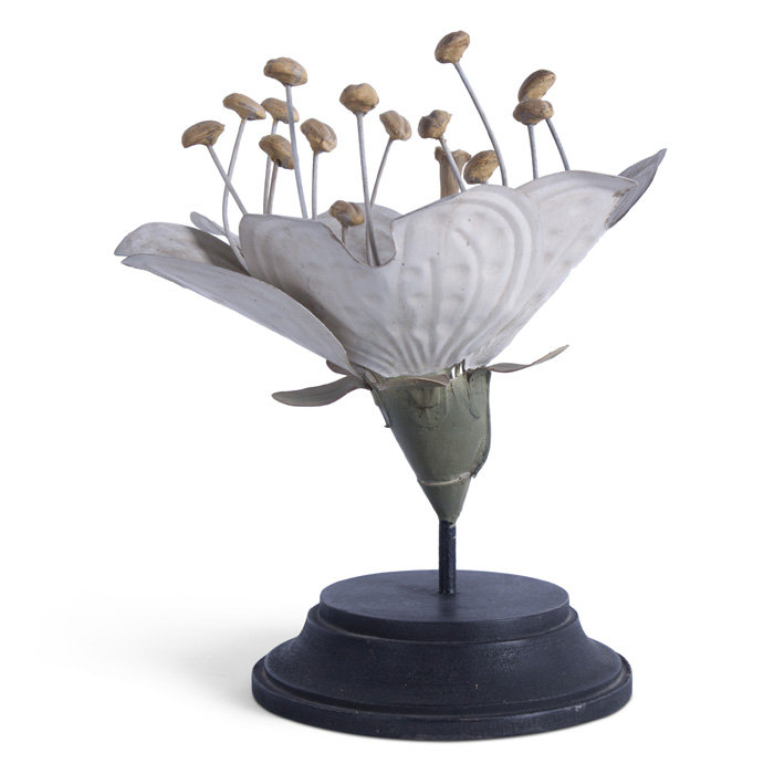 Plant Model