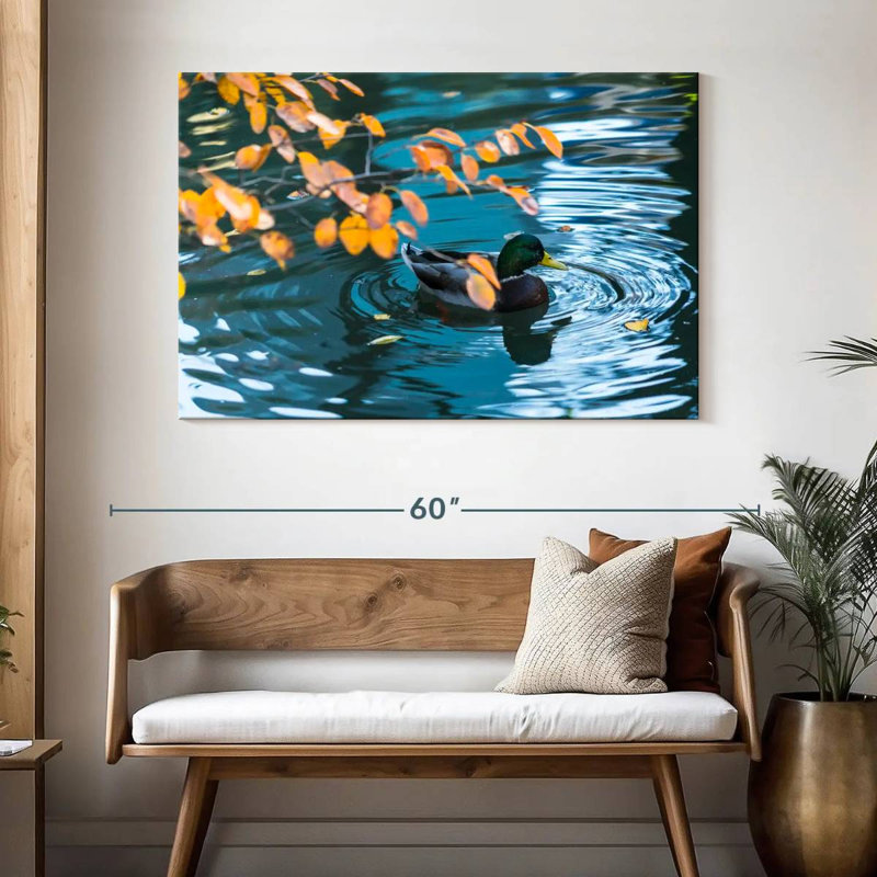 Canard colvert Brampt sur un étang, 32" H x 48" W