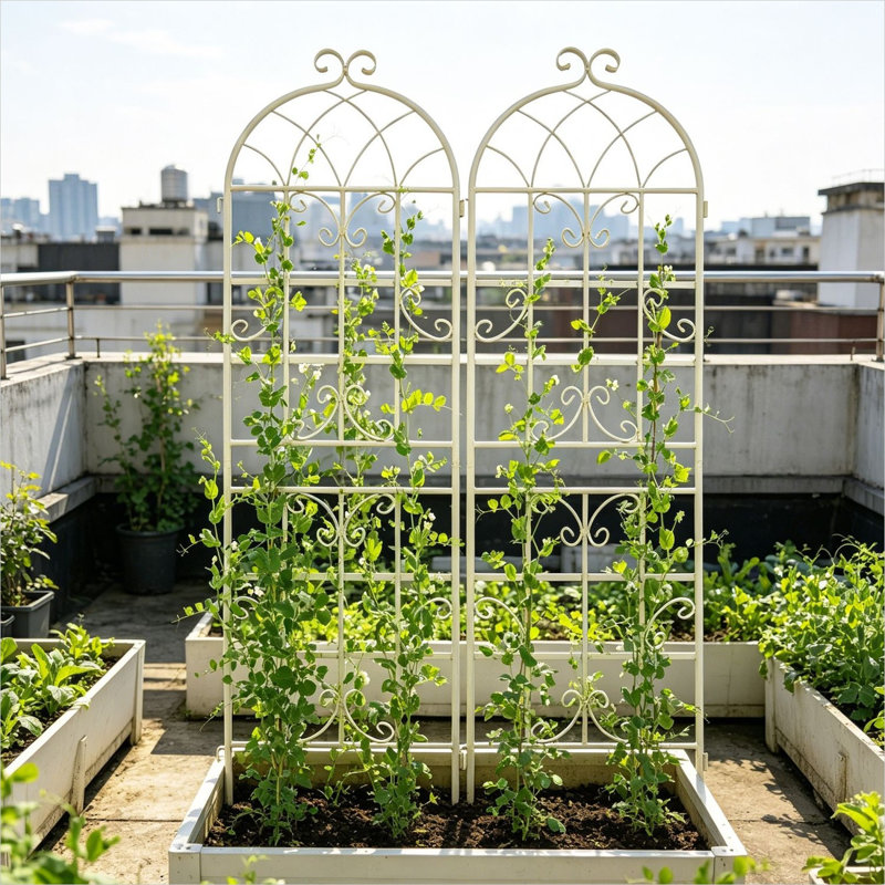 70.97 Ft. H x 39.96 Ft. W Galvanized Steel Gate with