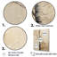 «Beige Trees Oak Solitude IV», reproduction sur toile-2078195391-2078195388