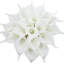 20 pièces de fleurs de lis Calla artificielles-855769183