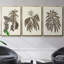 Sépia Botanical Journal VI 3 pièces-97711662-97711665