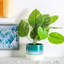 Nicola Spring - Reactive Glaze Plant Pots-63880890-63880894