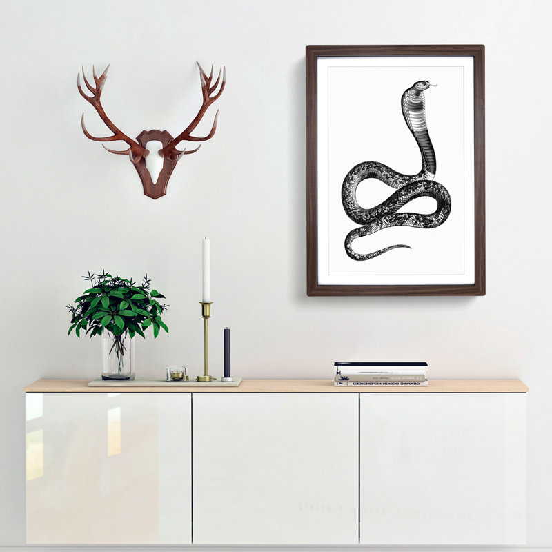 Viper Snake Illustration - Picture Frame Graphic Art Print, Walnut, 91cm H x 60cm W x 2cm D