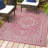 Aaleayah Medallion Textured Weave Fuchsia/Light Gray Indoor/Outdoor Rug-1990658979
