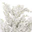 Snowy Cedar Spray-1411585855