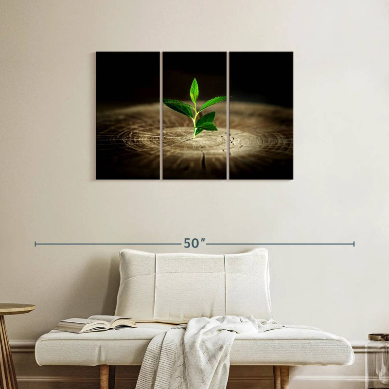 Harnek plante sur souche, H 24 po x l 38 po