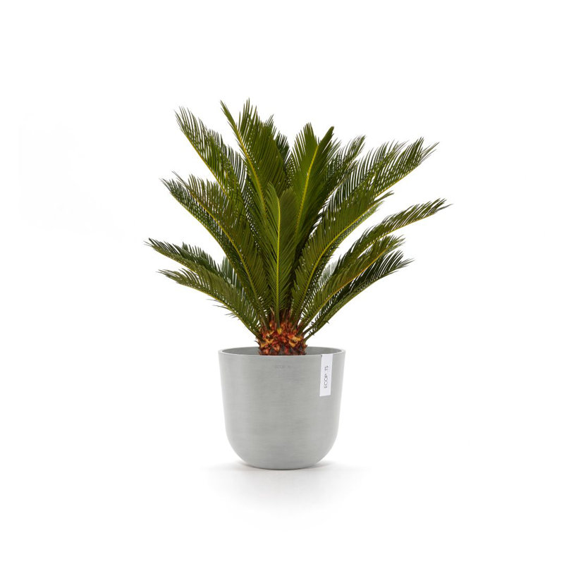 Ecopots Oslo Indoor/Outdoor Modern Recycled Plastic Flower Pot Planter, White Gray, 5.98" H x 10" W x 4.13" D