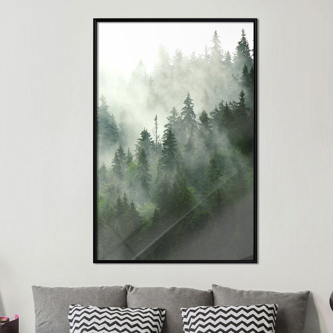 Gerahmtes Poster Steaming Forest