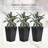 Three-piece tall planter with drainage hole-48187559