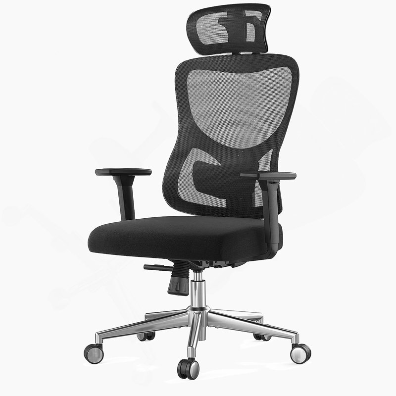 Chaise de bureau ergonomique avec support lombaire réglable, appui-tête, accoudoirs 3D, inclinable et fonction pivotante pour une utilisation confortable à la maison et au bureau
