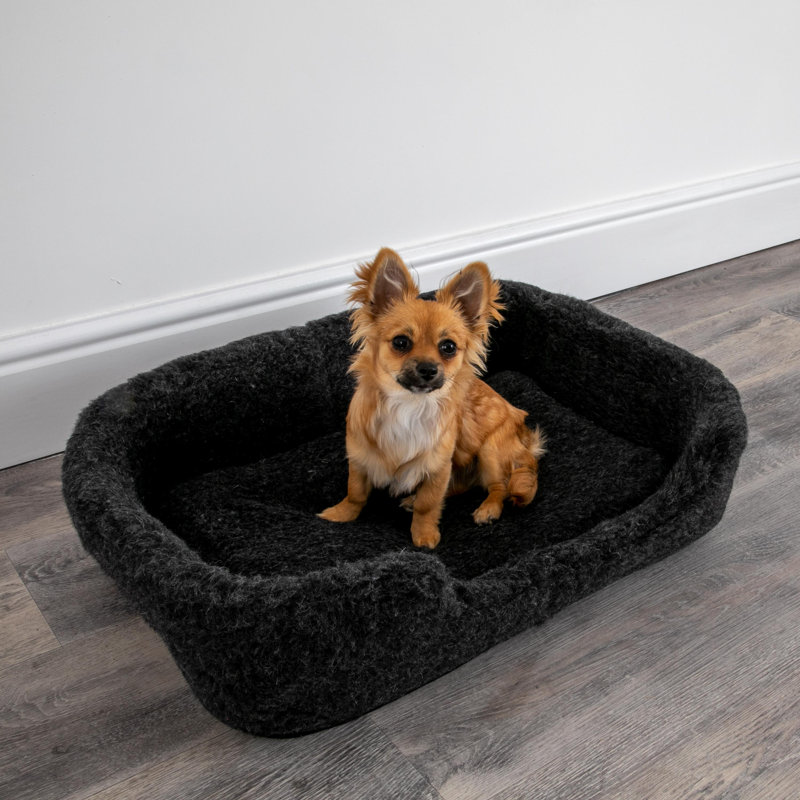 Azaiah Fleece Pet Bed, Black, 10cm H x 60cm W x 40cm D