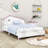 Adante Platforms Standard Bed by Isabelle & Max-535571787