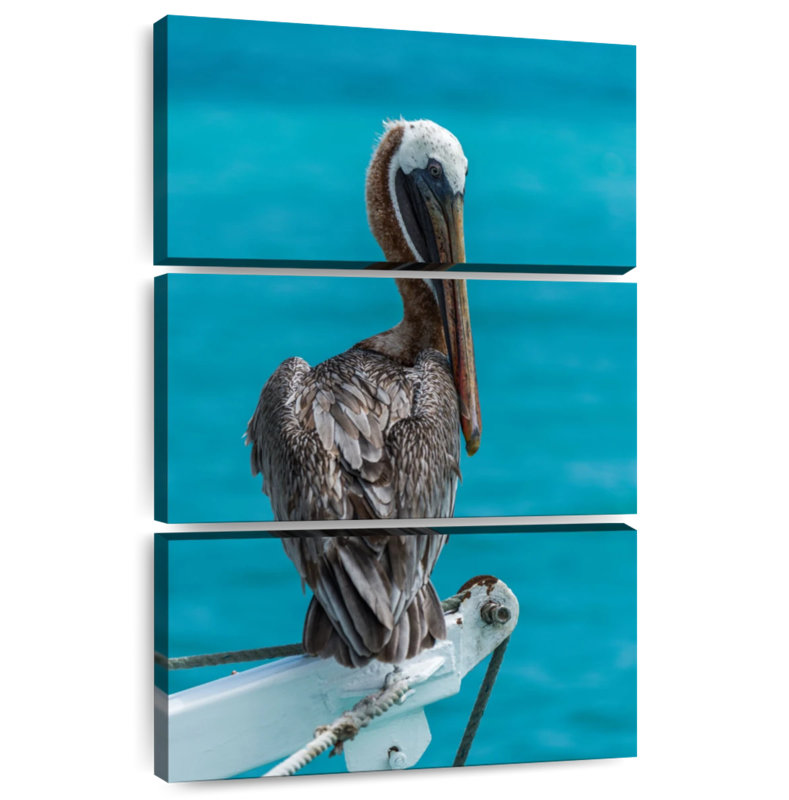 Brampt Perched Brown Pelican