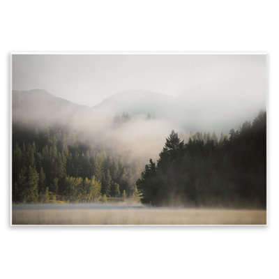 «Rolling Fog Woodland View» par Carol Robinson